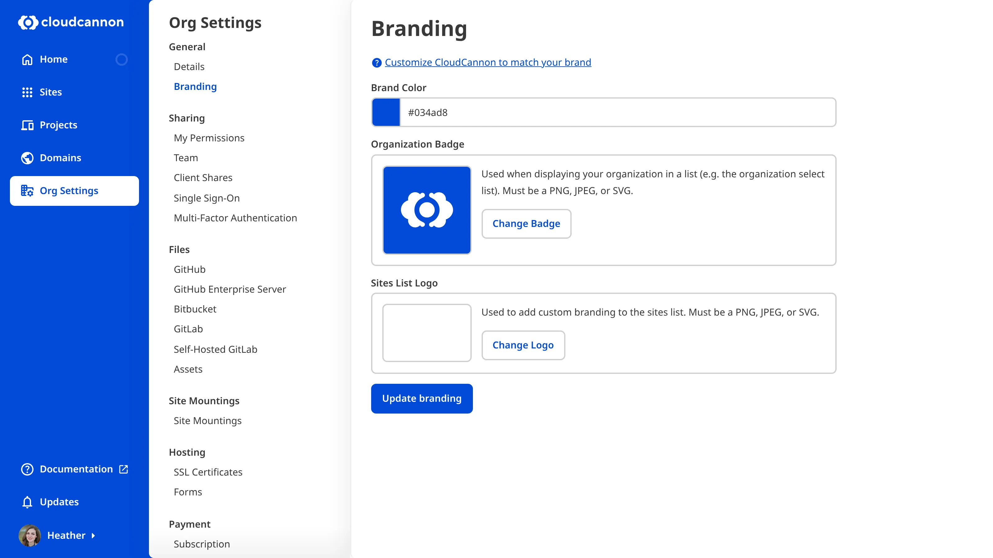 Screenshot of organization branding interface