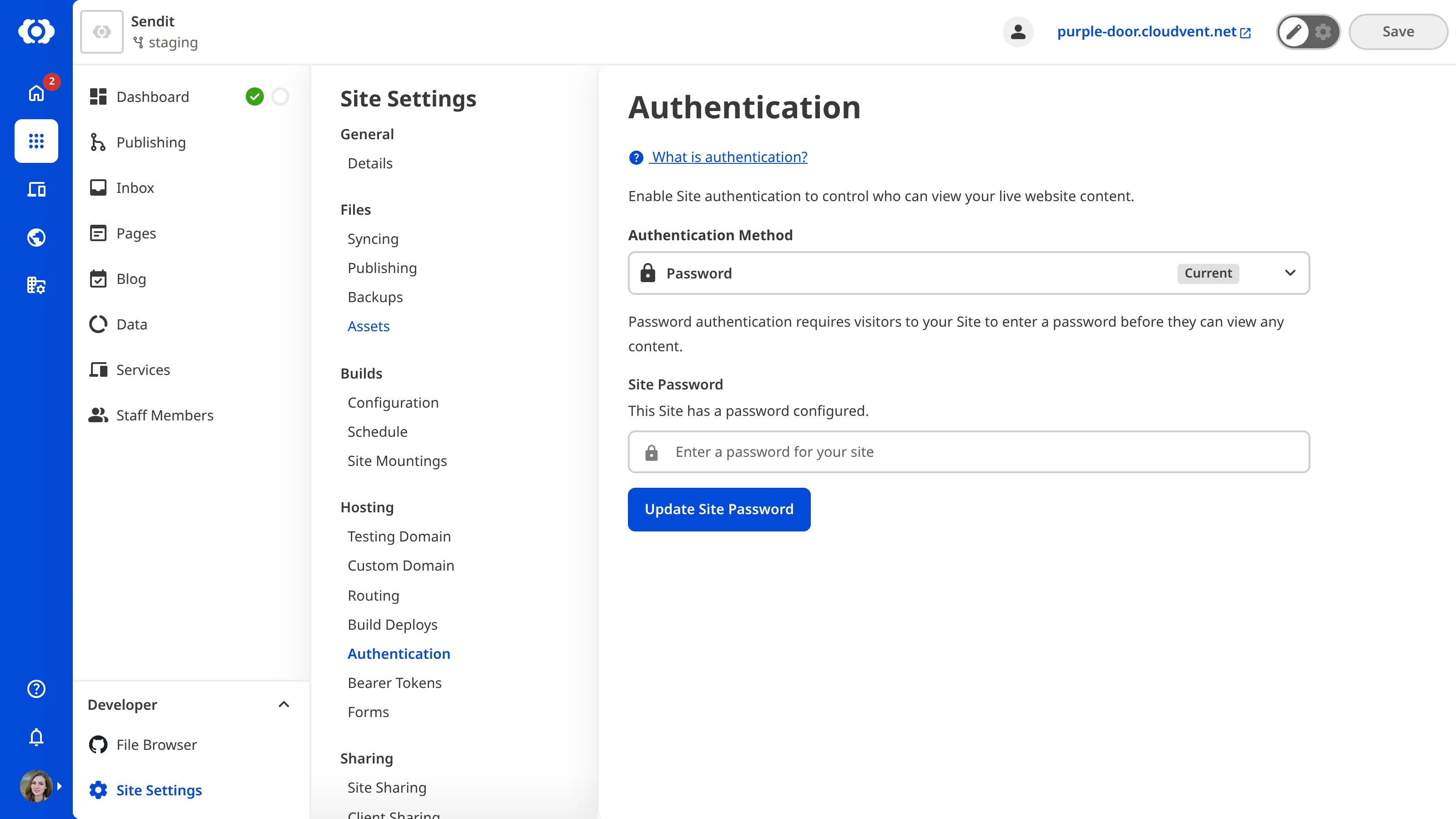 A screenshot of the Authentication page shows a this Site has a password set.