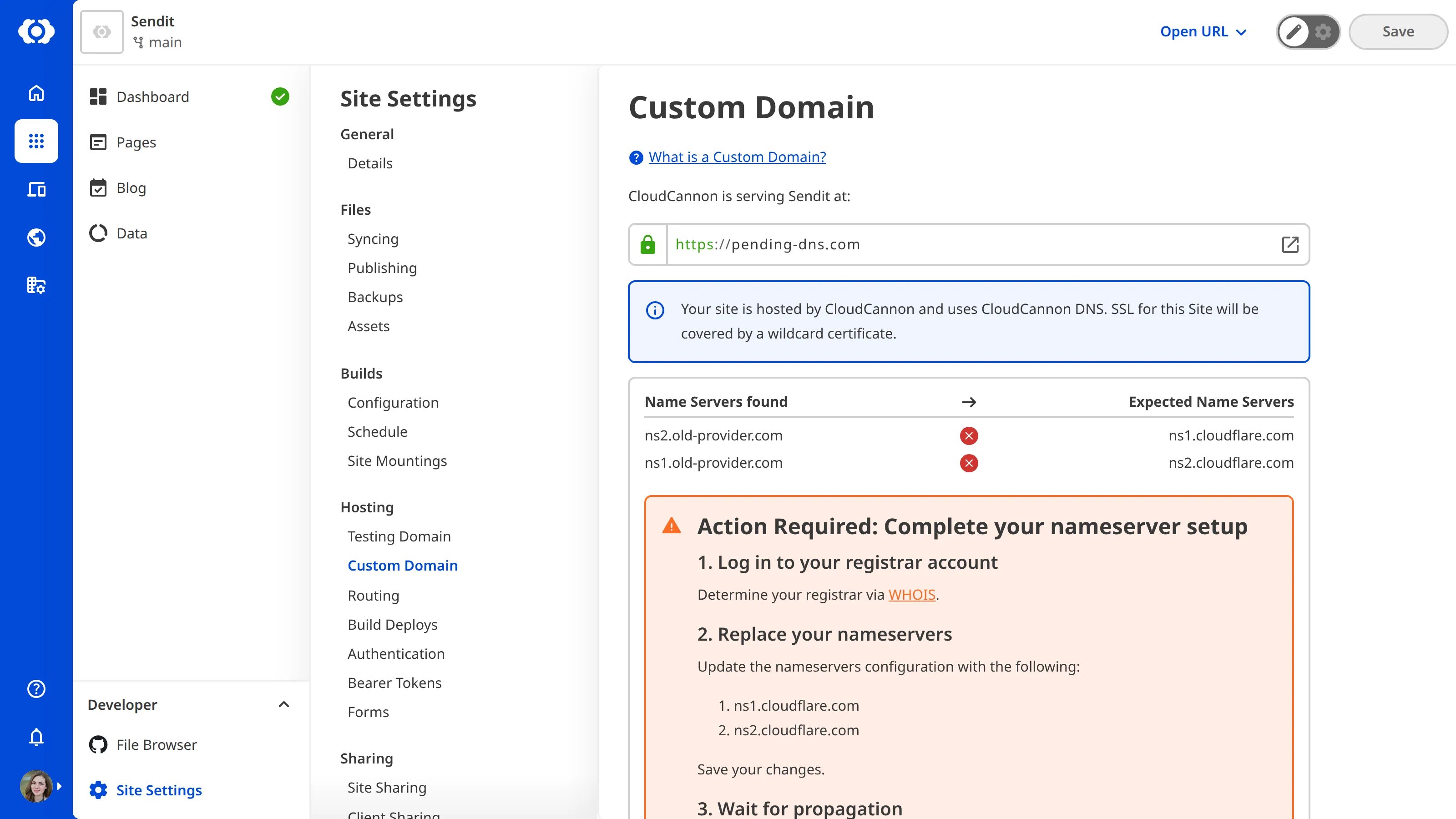 A screenshot of the Custom Domain page under Site Settings shows the nameserver setup warning.