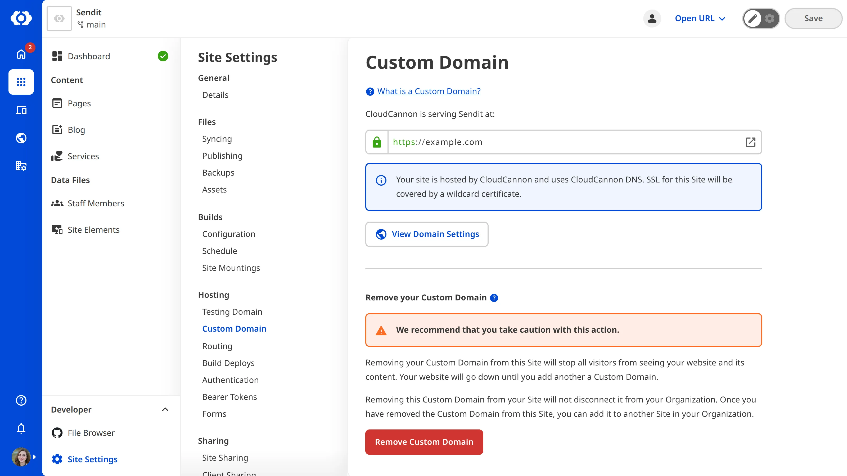 A screenshot of the Custom Domain page under Site Settings shows the Remove Custom Domain button.